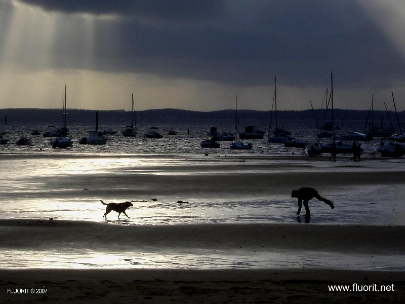bato6.jpg - Andernos - coucher de soleil au chien © Fluorit