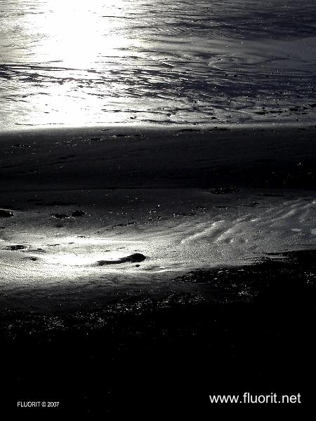 plage1.jpg - Andernos - empreintes © Fluorit