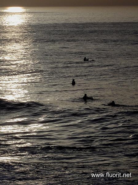 DSC00043.JPG - Anglet/La Chambre d'amour - les surfeurs en arc © Fluorit