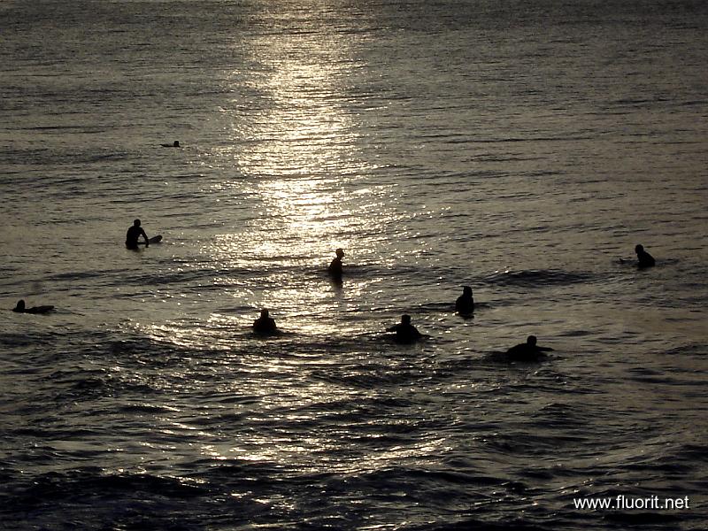 DSC00054.JPG - Anglet/La Chambre d'amour - les surfeurs attendent  © Fluorit