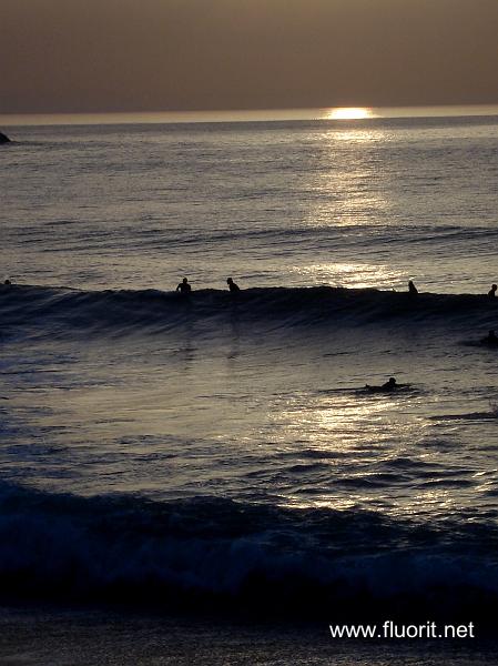DSC00061.JPG - Anglet/La Chambre d'amour - surfeurs dans la vague © Fluorit