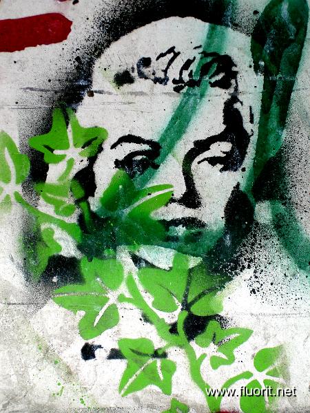 graf_marilyn1.jpg - Graffiti - gens célèbres - Marilyn Monroe pochoir au lierre  © fluorit