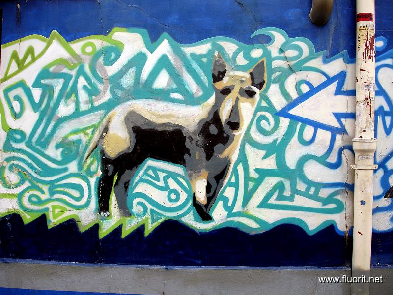 graf_chien1.jpg - fox terrier  © fluorit