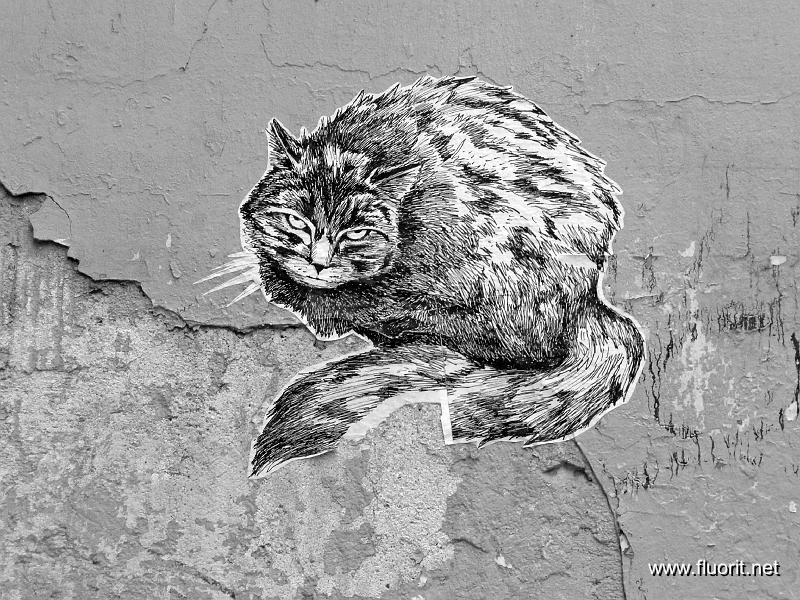 le_chat_graffiti.jpg - le chat © Fluorit