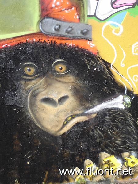 singecasket2.jpg - Le singe à la cigarette © Fluorit