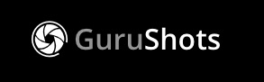 logo gurushots
